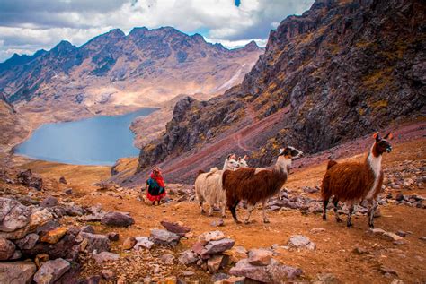 Important Considerations for Lares Trek