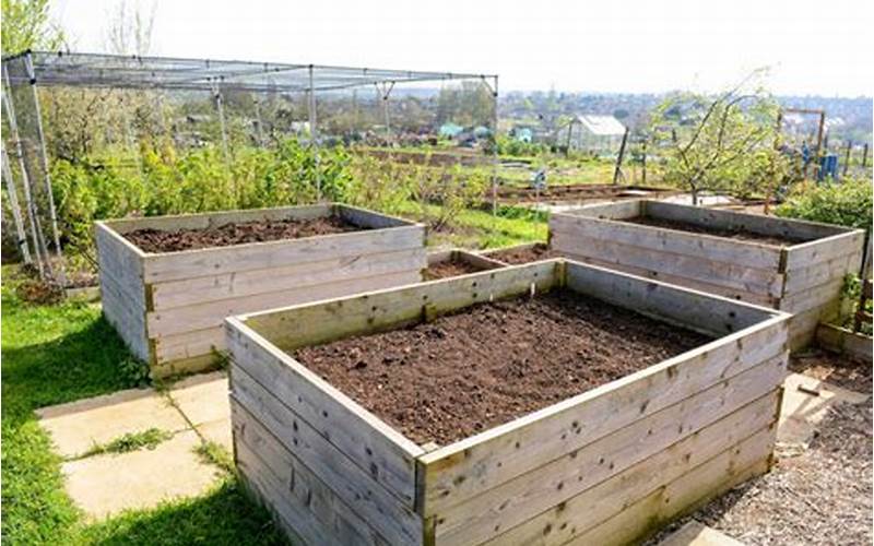Improved Soil Quality In Raised Beds