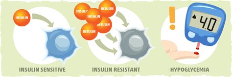 Improving Insulin Sensitivity