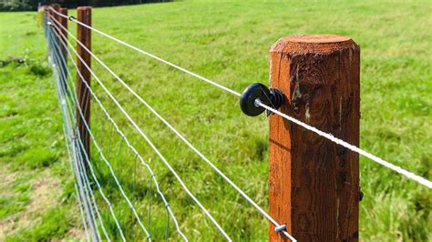 In-Ground Wired Electronic Fences