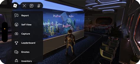 In-experience Settings and Help – Roblox Support