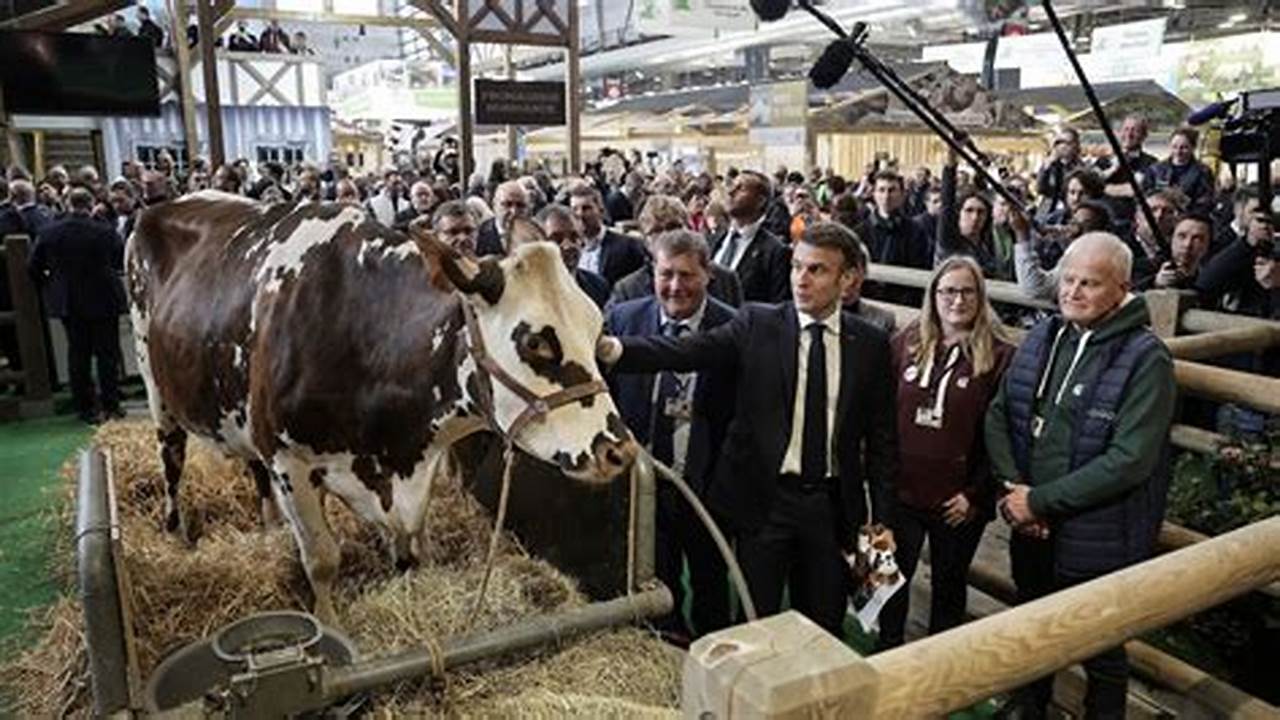 Inauguration 20254