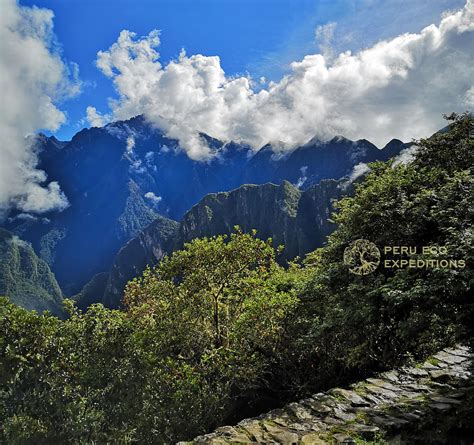 Inca Trail Cloud Forest