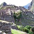 Inca Civilization