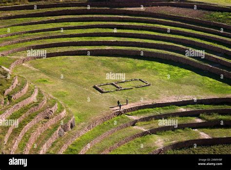 Inca crop research