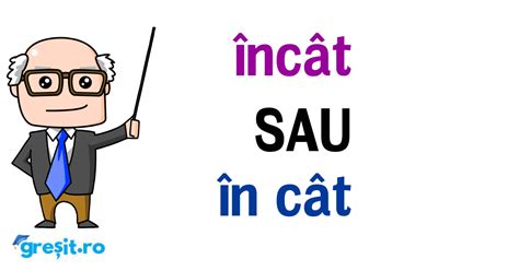 Incat Sau In Cat