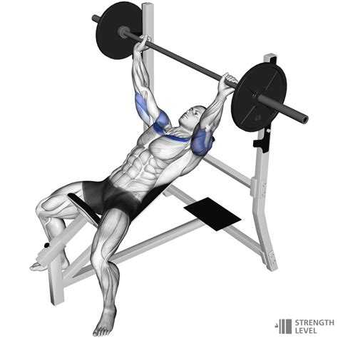 Inclined Bench Press