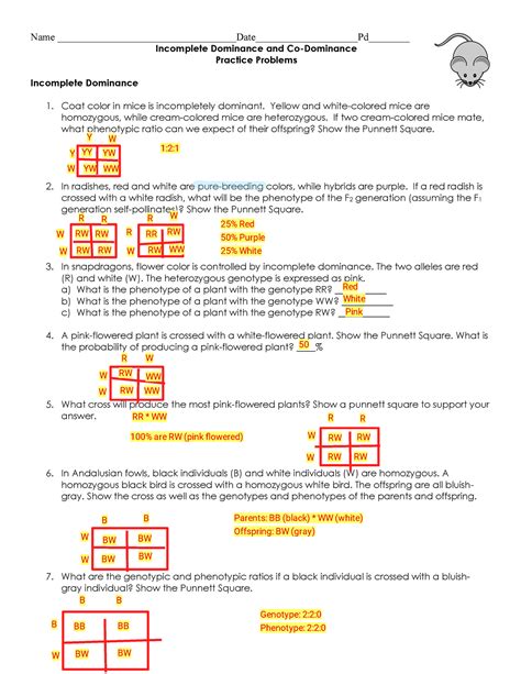 Incomplete And Codominance Worksheet Answers