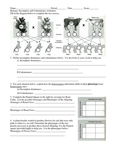 Incomplete Dominance Worksheet
