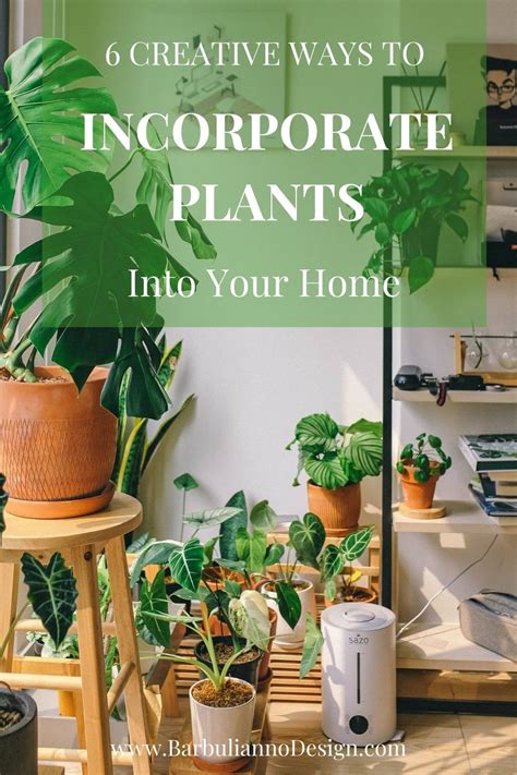 Incorporate Plants