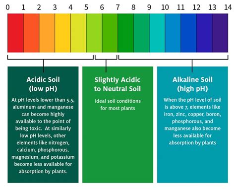 Incorrect Soil pH