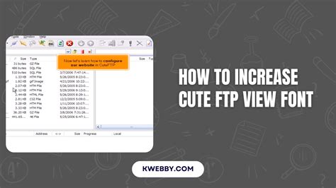 Increase CuteFTP View Font