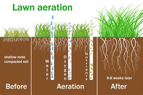 Increase Water Retention and Aeration