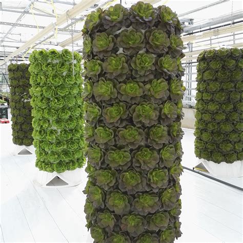 Increased Yield Vertical Hydroponics Tower