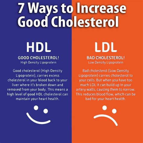 Increasing HDL Cholesterol Levels