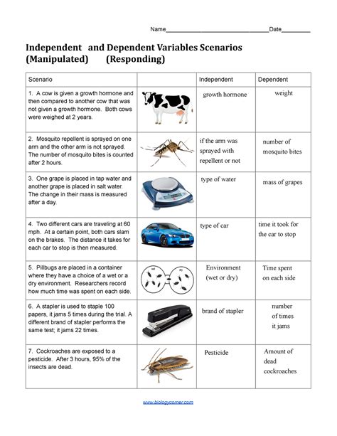 Independent And Dependent Variables Worksheet Answer Key