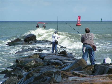 Indian River Inlet Fishing Report