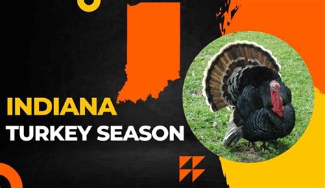 Indiana Spring Turkey 2024