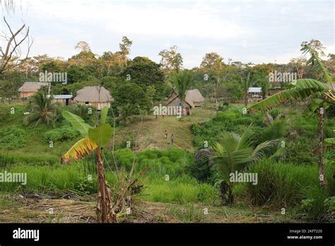 Indigenous Amazon Village