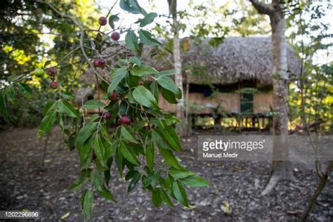 Indigenous communities Pucallpa