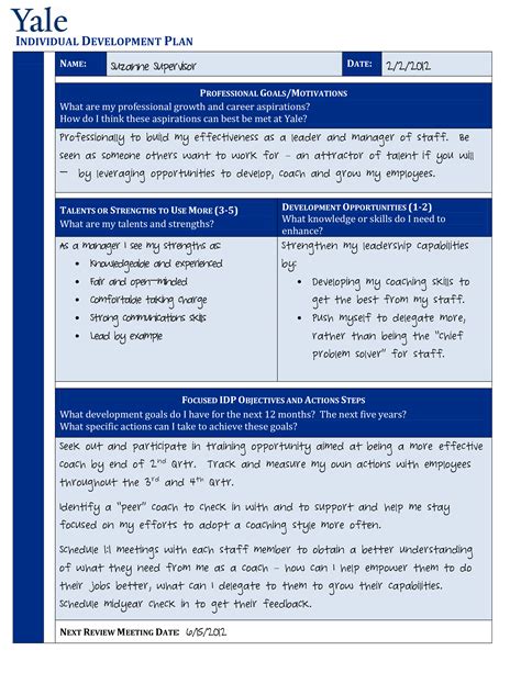 Individual Development Plan Template For Managers