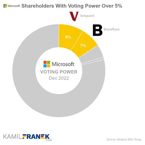 Individual Shareholders of Microsoft