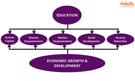 Individual learning and Economic growth
