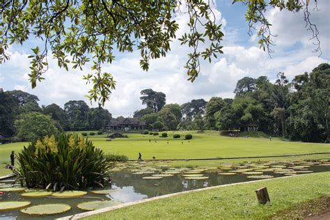 Indonesian Community Garden