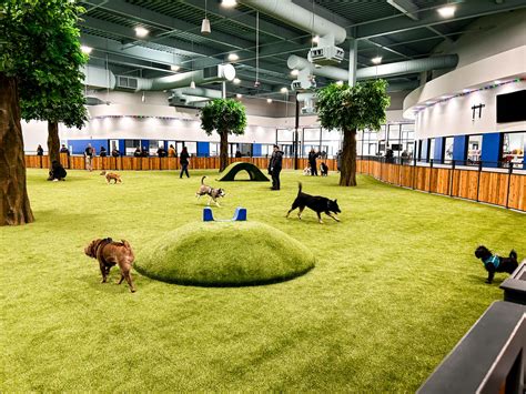 Indoor Dog Park