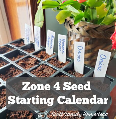 Indoor Seed Starting Calendar Zone 4