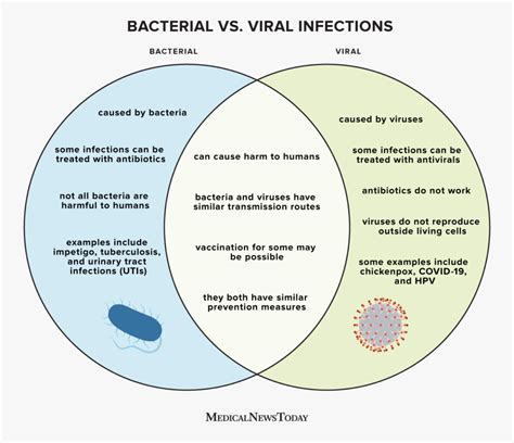 Infection vs Virus: Key Differences
