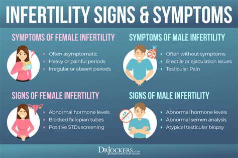 Infertility Signs & Effective Treatment Options