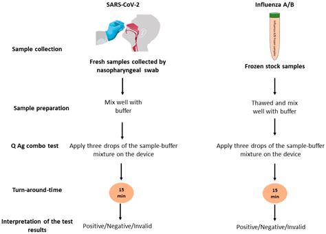 Influenza PCR Test and interpretation