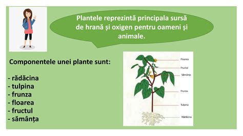 Informatii+despre+parti