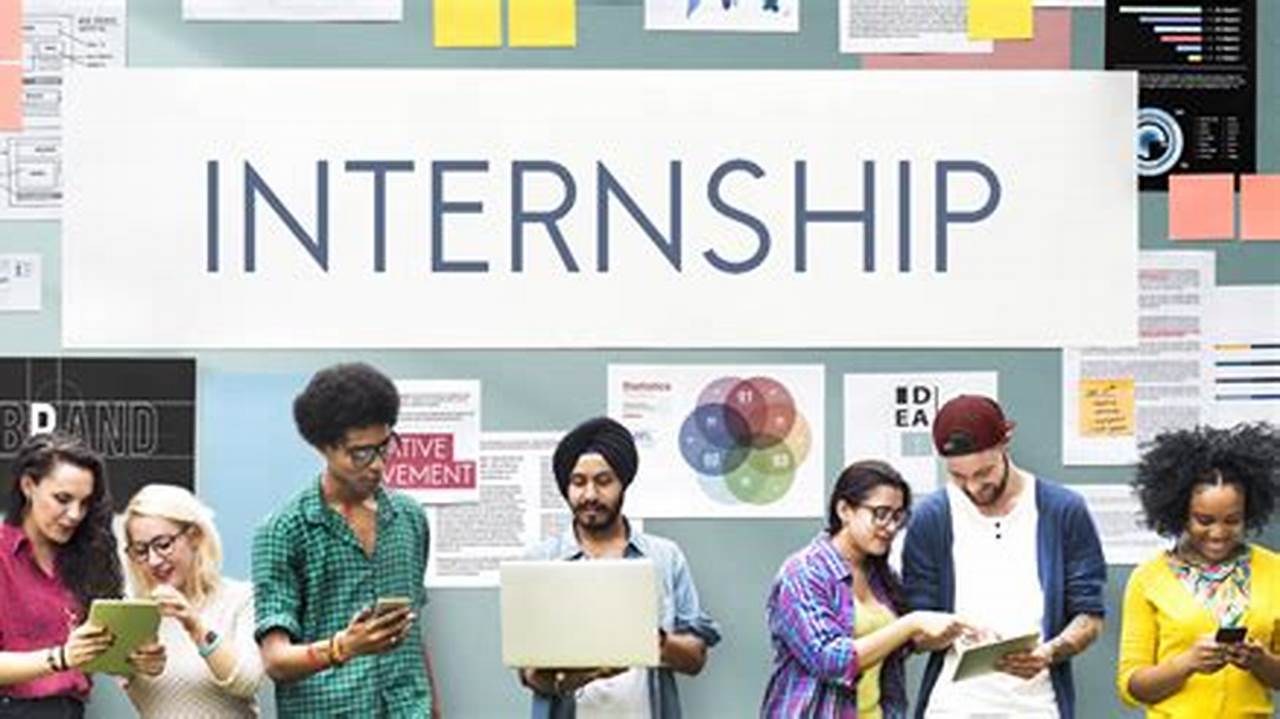 Information Technology Internship Summer 2025