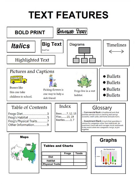 Informational text feature activities for grade 3 students | Text