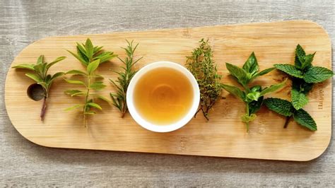 Les infusions à base de plantes