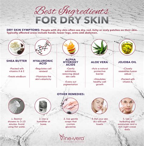 Top 10 Moisturizing Ingredients for Dry Skin: A Complete Guide.