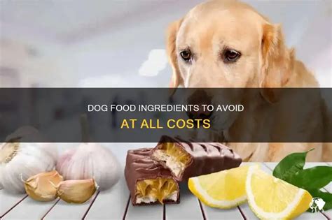 Ingredients to Avoid at All Costs