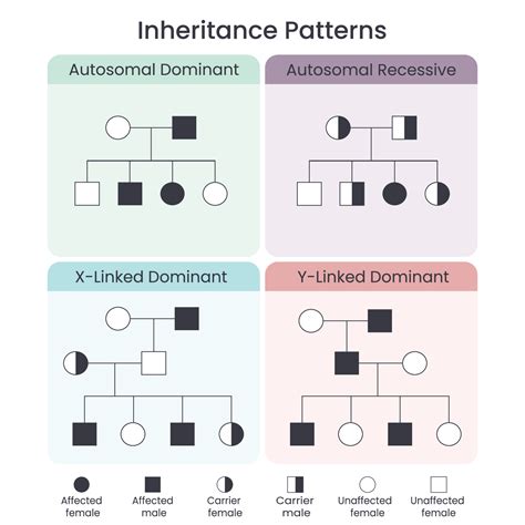 Inheritance Patterns Image