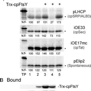 Inhibited by integration