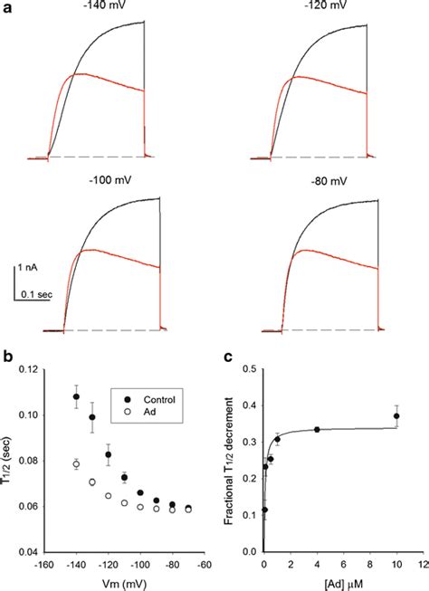 Initial Surge of Vasodilation