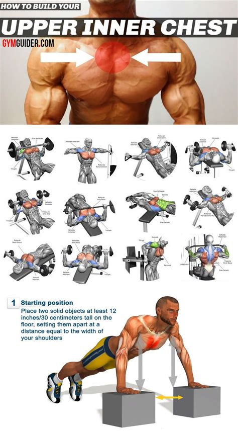 Inner Pecs