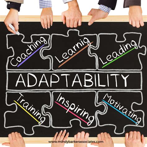 Innovation and Adaptability: Keys to C-Level Success