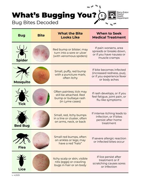 Insect Bite Identification Chart