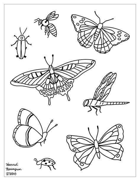 Insect Coloring Pages