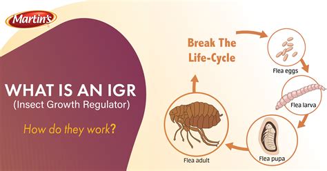 Insect Growth Regulators (IGR)