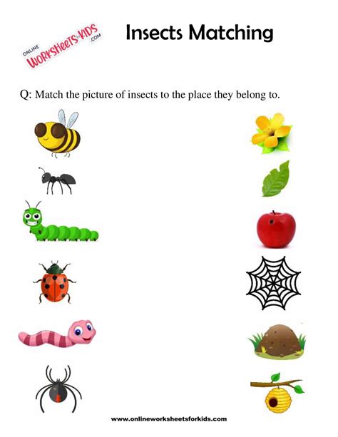 Insect Printables For Preschoolers