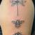 Insects Tattoo Pics
