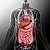 Inside The Human Body Organs